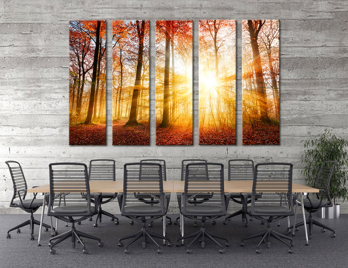 Autumn Forest Canvas Print #7121