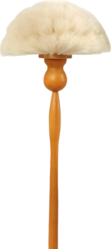 Duster Broom