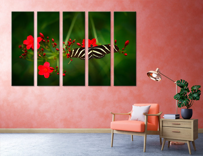 Fly of Butterfly Canvas Print #8038