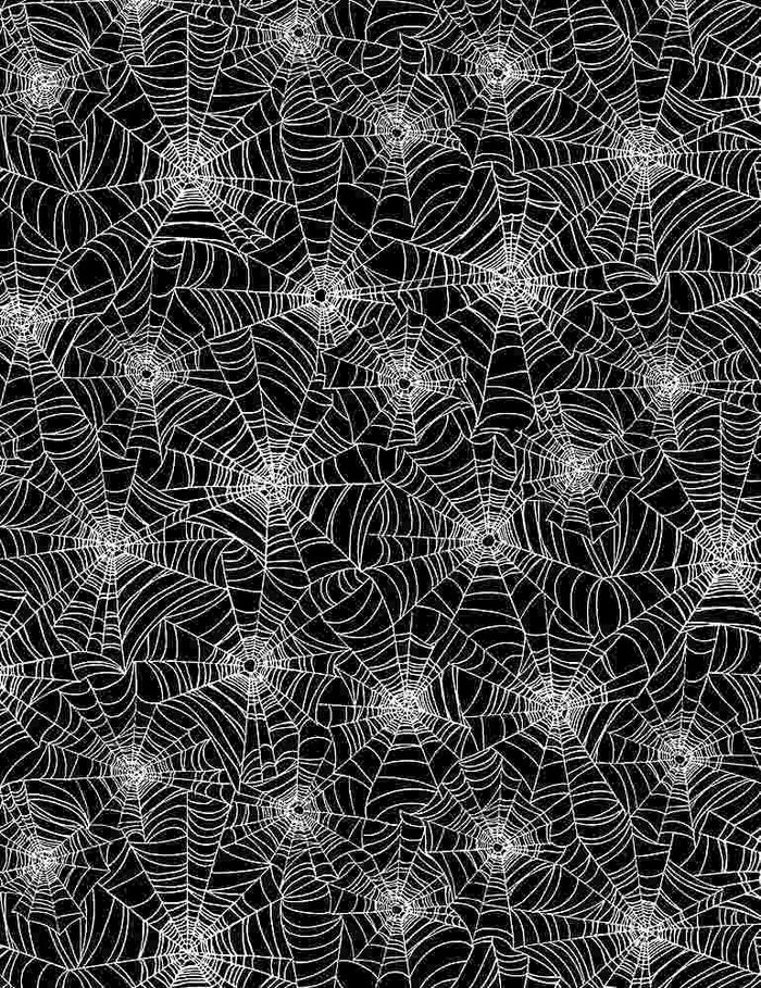 HALLOWEEN WEB GAIL-CG7786 BLACK