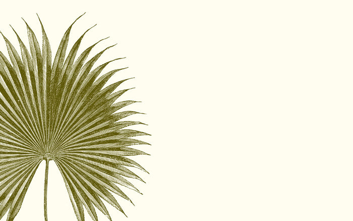 Palm Place Card