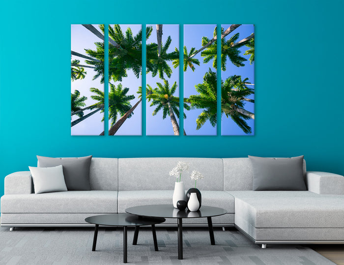Palms Tops Canvas Print #7582