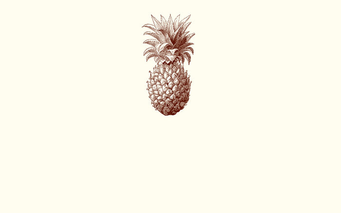 Pineapple Place Card