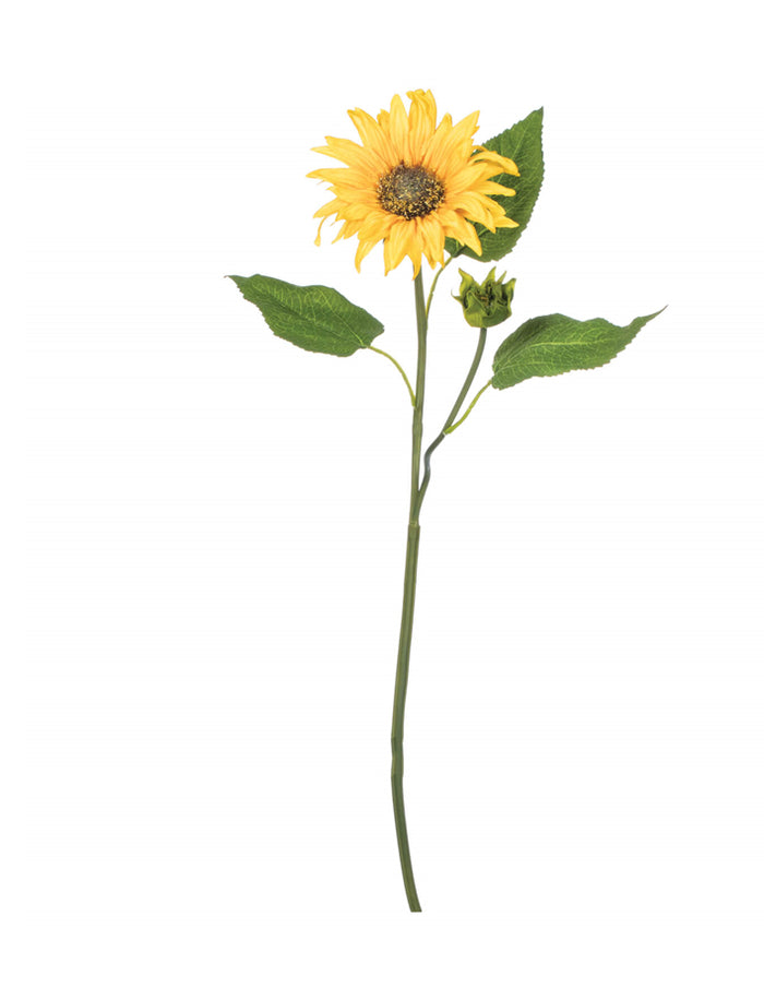 *Sunflower Stem