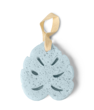Super Sudsy Soap Sponge