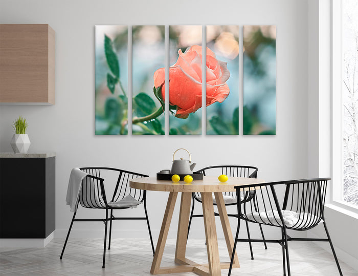 Tender Rose Canvas Print #7563