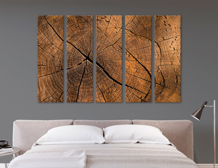 Tree Stump Canvas Print #1328
