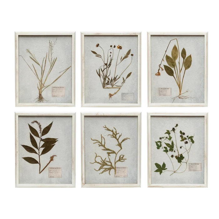 16" wood framed wall decor w/botanicals 6 styles