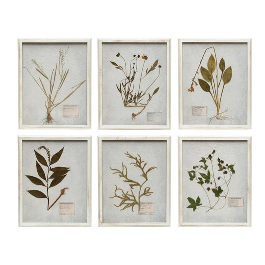 16" wood framed wall decor w/botanicals 6 styles