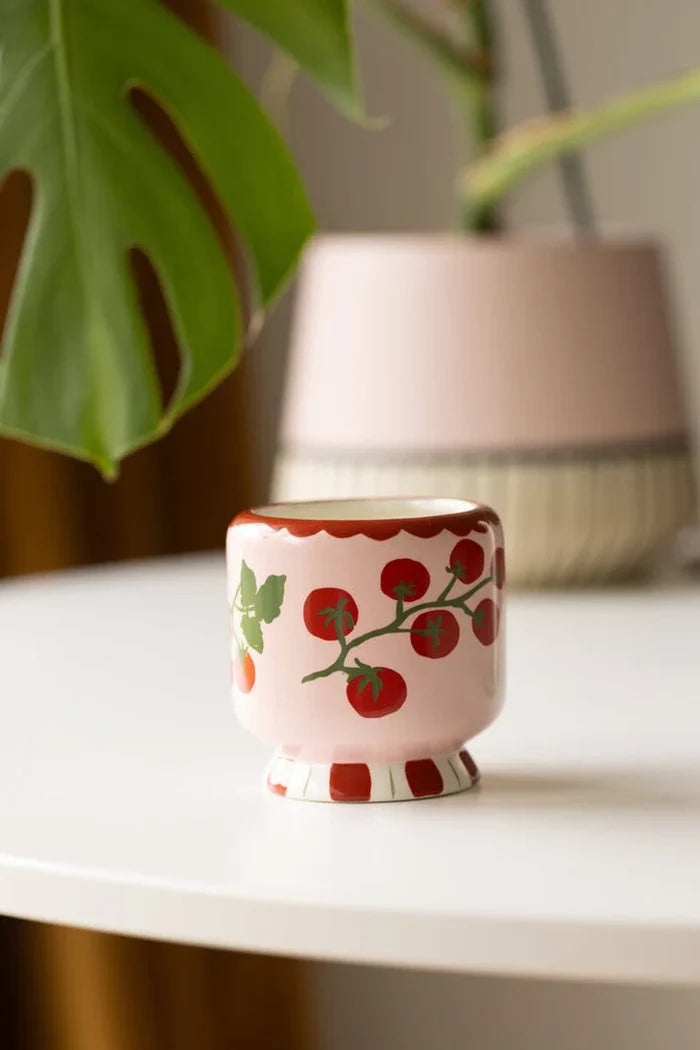 A Dopo Tomato Vine Ceramic Candle - Heirloom Tomato