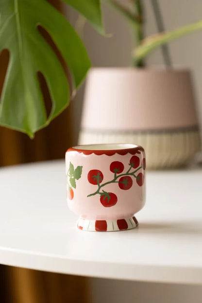 A Dopo Tomato Vine Ceramic Candle - Heirloom Tomato