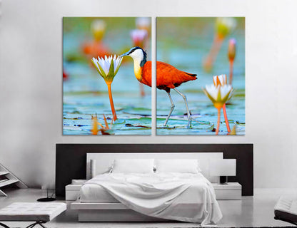 African Jacana Actophilornis Canvas Print #8036