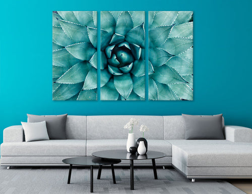 Agave Canvas Print #7564