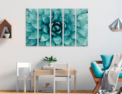 Agave Canvas Print #7564
