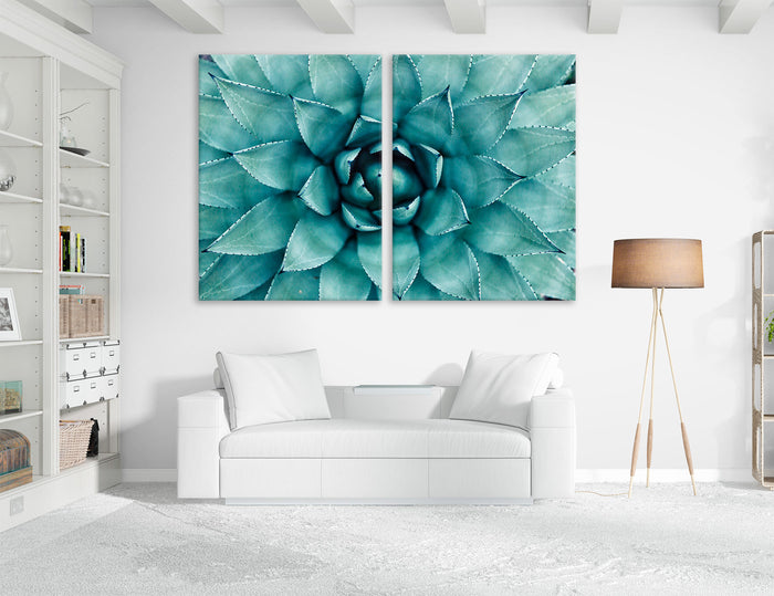 Agave Canvas Print #7564