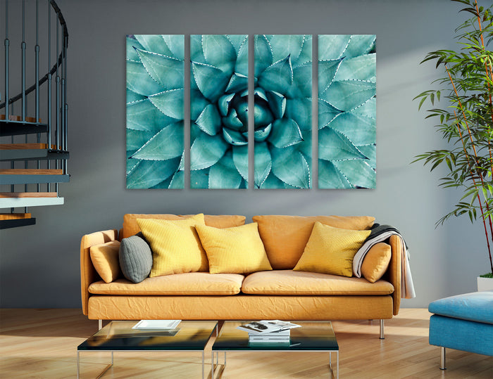 Agave Canvas Print #7564