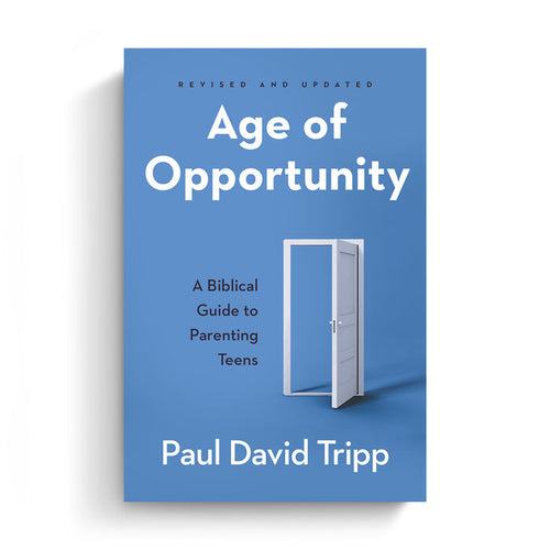 Age of Opportunity (Paperback)