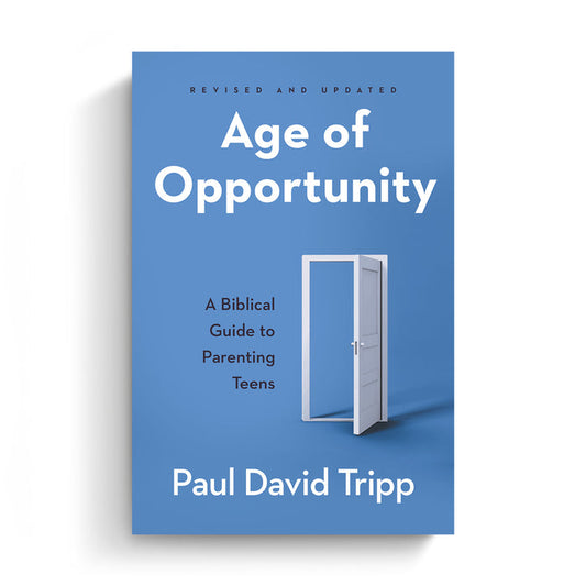 Age of Opportunity (Paperback)