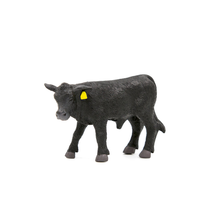 Angus Calf