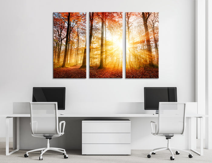 Autumn Forest Canvas Print #7121