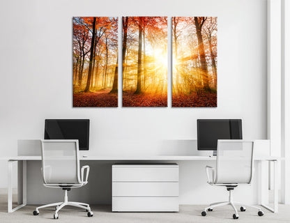 Autumn Forest Canvas Print #7121