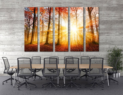 Autumn Forest Canvas Print #7121