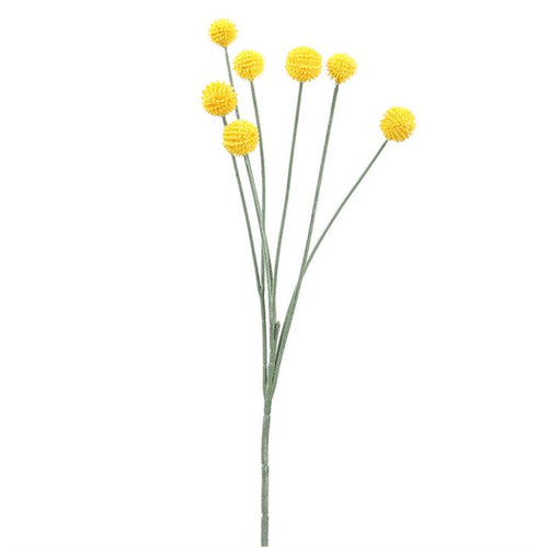 Billy Bob Spray - Yellow