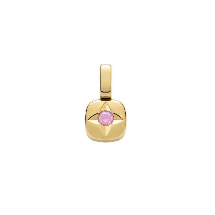 Birthstone Charm February Gold