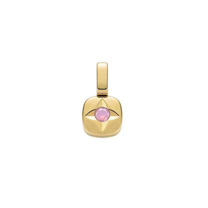 Birthstone Charm February Gold
