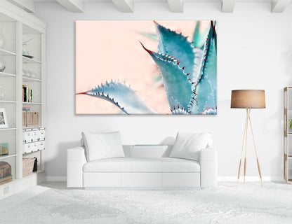 Blue Agave Canvas Print #7566