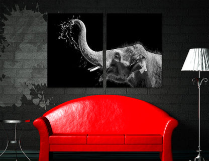 BW Elephant Canvas Print #8225