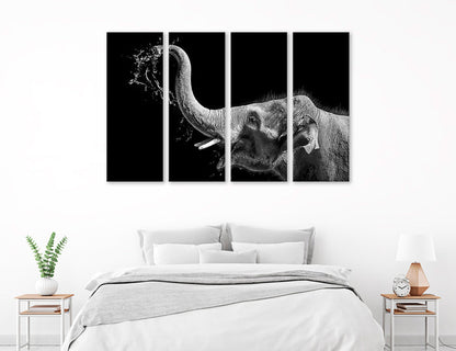 BW Elephant Canvas Print #8225