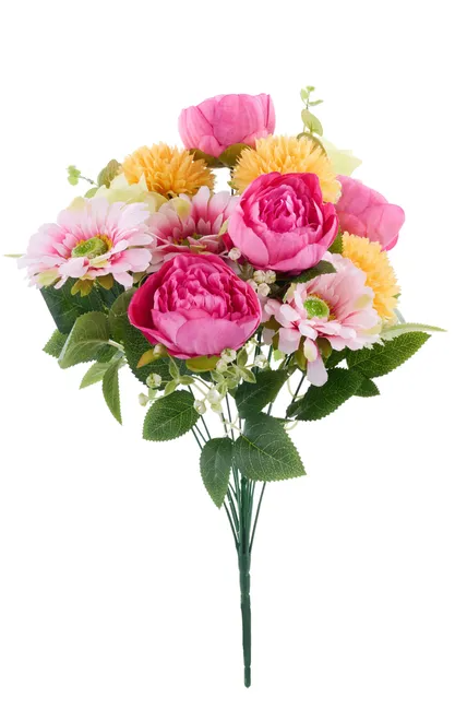 Cabbage Rose/Mum Bush X16