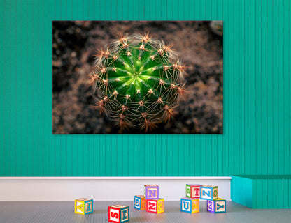 Cactus Canvas Print #7565
