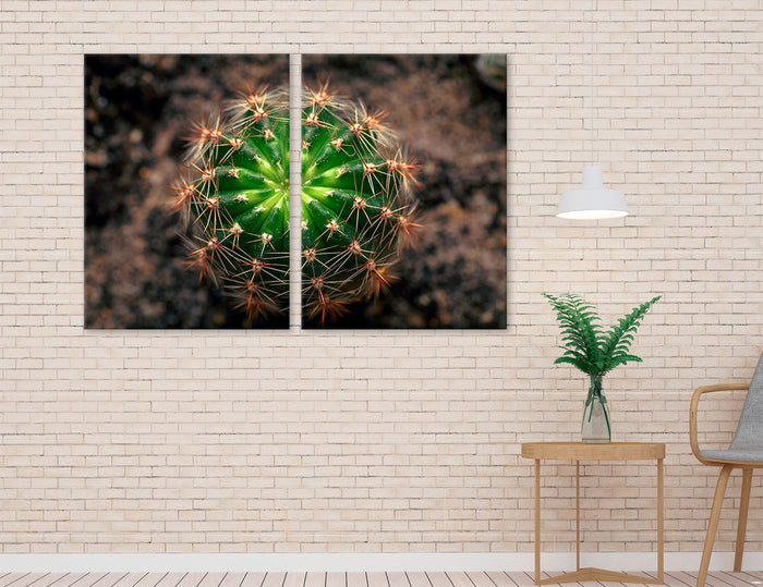 Cactus Canvas Print #7565