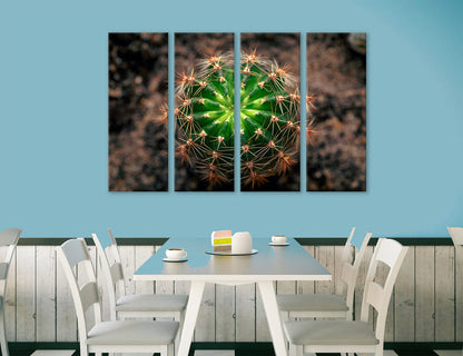 Cactus Canvas Print #7565