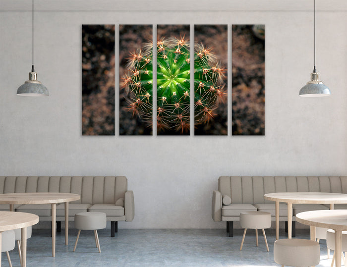 Cactus Canvas Print #7565