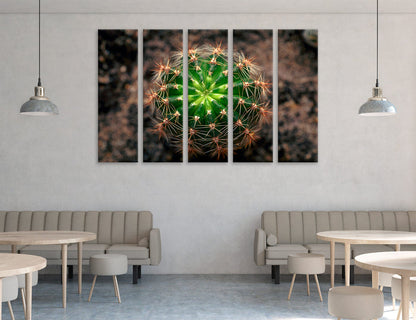 Cactus Canvas Print #7565