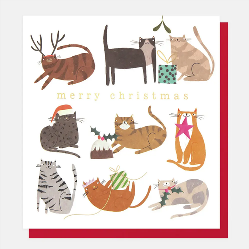 Caroline Gardner Merry Christmas Cats Christmas Card