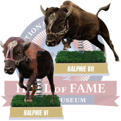 Colorado Buffaloes Live Mascot Bobblehead Set (Presale)