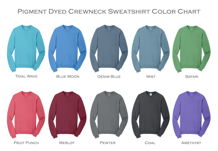 Delta Kappa Epsilon Beach Washed Crewneck Sweatshirt