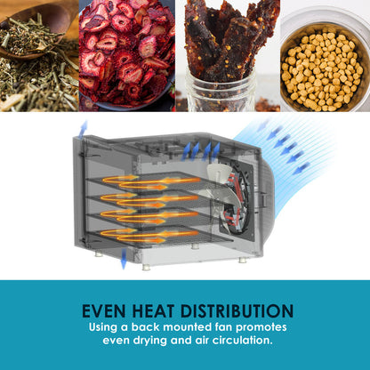 Even Heat Distribution.  Using a back mounted fan promotes even drying and air circulation.  3D Graphic rendering of air circulation and flow. Plus images of dried herbs, fruit, jerky and nuts.