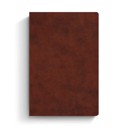 Everyday Gospel Bible: Connecting Scripture to All of Life (Imitation Leather, Chestnut)