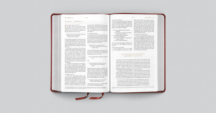 Everyday Gospel Bible: Connecting Scripture to All of Life (Imitation Leather, Chestnut)