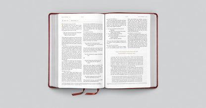 Everyday Gospel Bible: Connecting Scripture to All of Life (Imitation Leather, Chestnut)