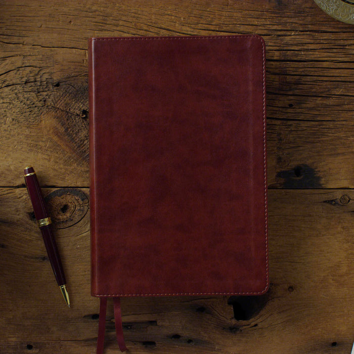 Everyday Gospel Bible: Connecting Scripture to All of Life (Imitation Leather, Chestnut)