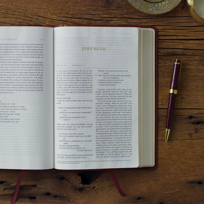Everyday Gospel Bible: Connecting Scripture to All of Life (Imitation Leather, Chestnut)