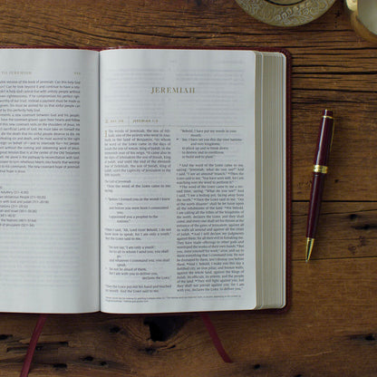 Everyday Gospel Bible: Connecting Scripture to All of Life (Imitation Leather, Chestnut)