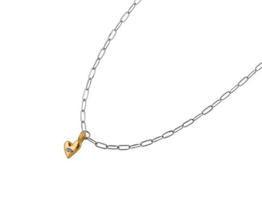Fidelia Small Heart Delicate Necklace - Silver & Gold