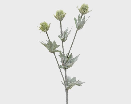 Frosted Eryngium Spray